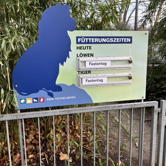 23-01-09 12-22-10 3874